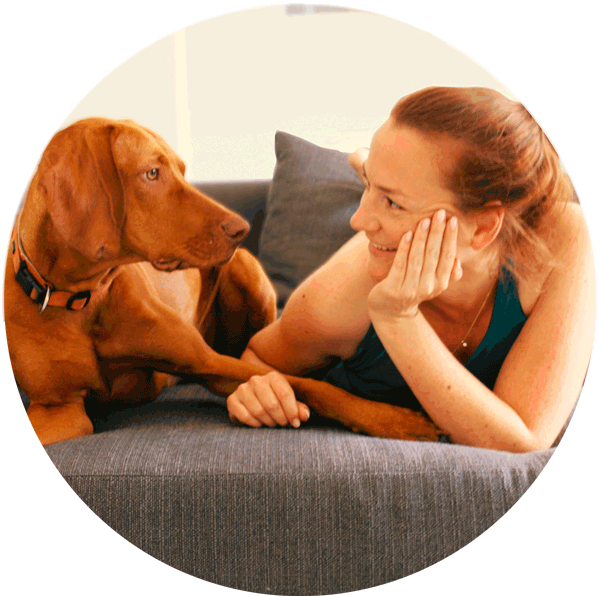 magyar-vizsla-frau-sofa