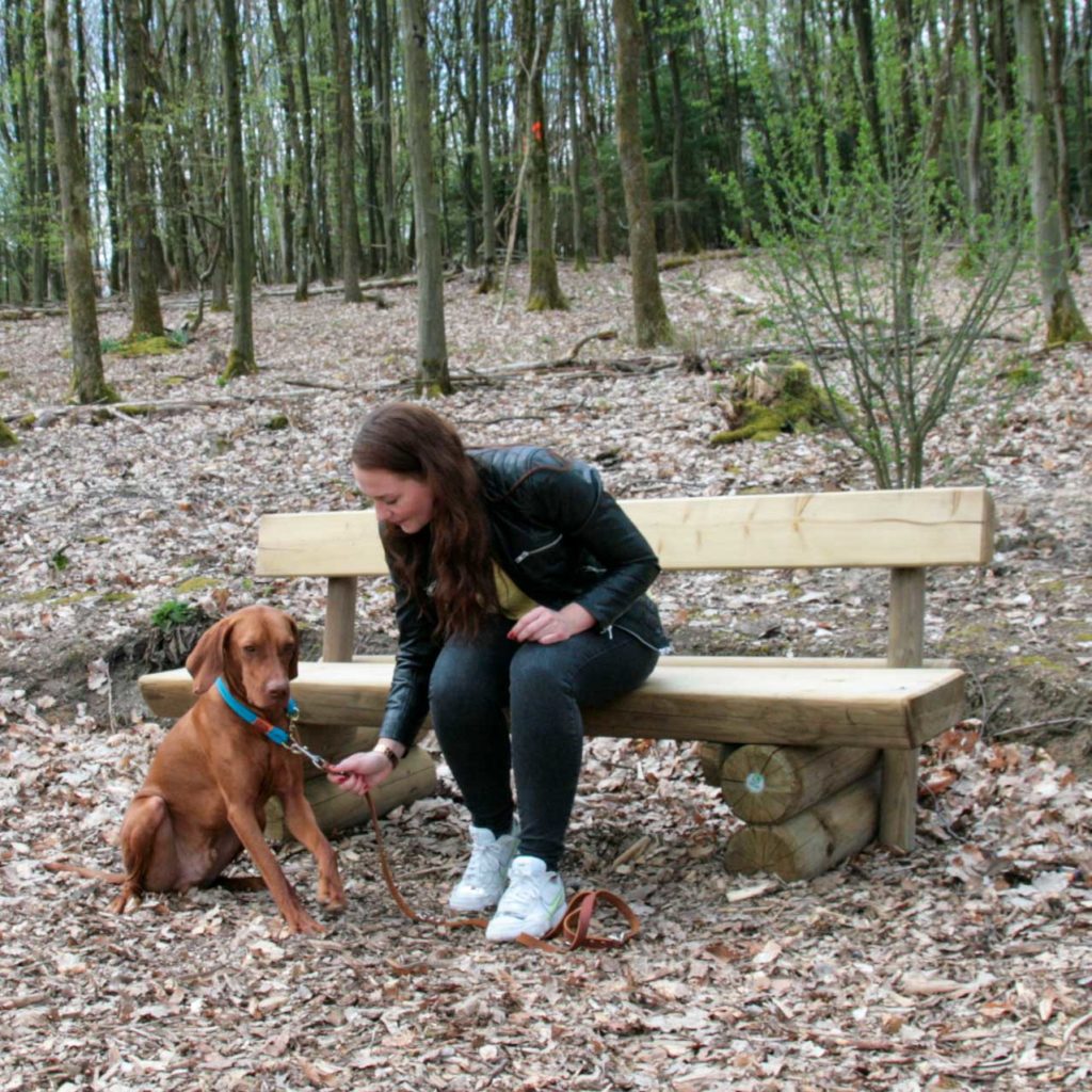 Vizsla wird bei Ruheübung korrigiert und zurück ins Platz geschickt