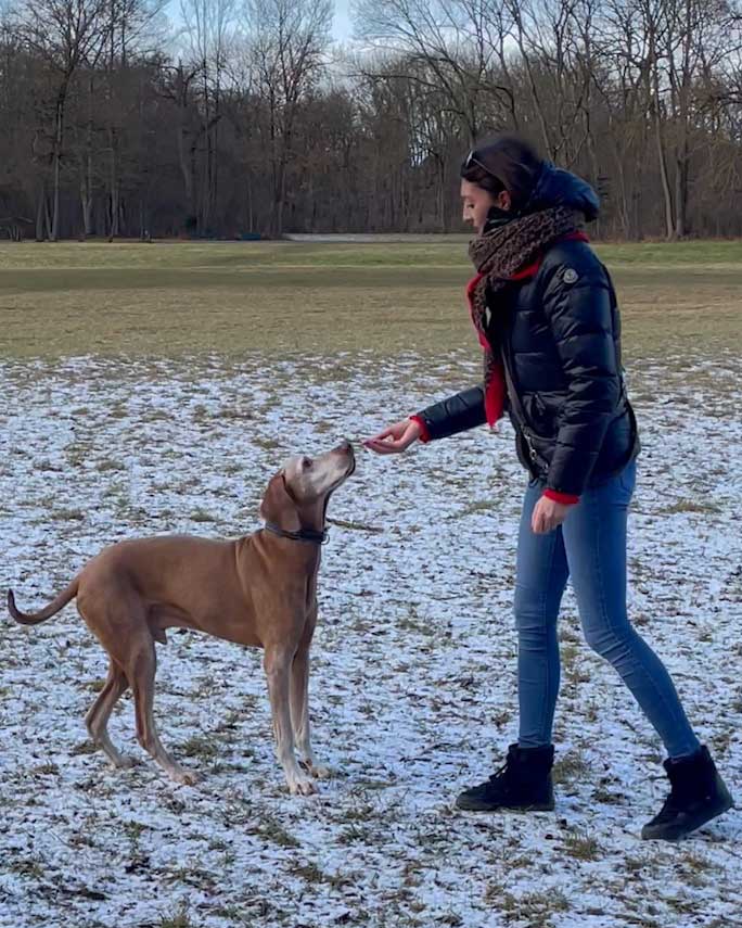 Miriam Ellwanger und ihr Vizsla Buddy